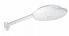 Ducha Bella Maxi -8 Polegadas