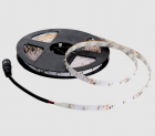 Fita 60 Leds 6000K- 5 metros